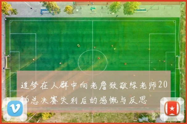 追梦在人群中向老詹致敬绿老师2016总决赛失利后的感慨与反思
