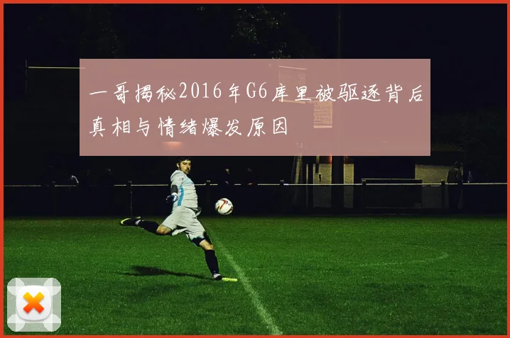 一哥揭秘2016年G6库里被驱逐背后真相与情绪爆发原因