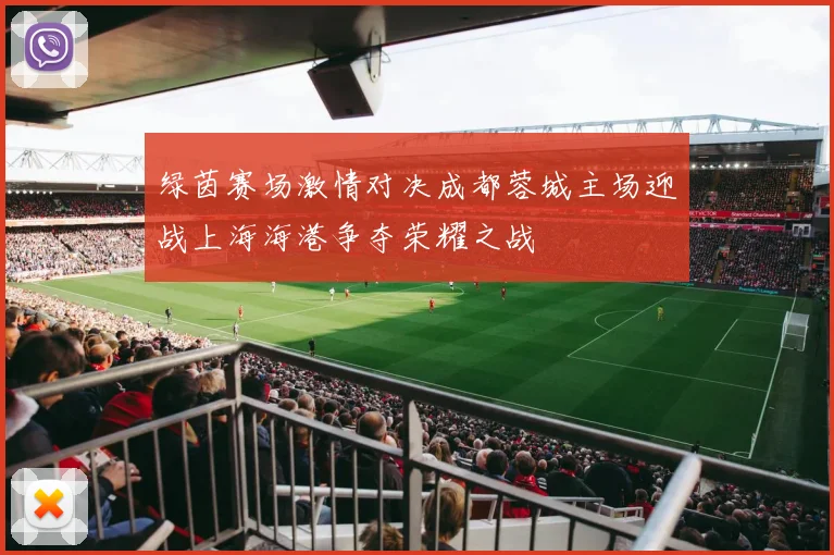 绿茵赛场激情对决成都蓉城主场迎战上海海港争夺荣耀之战