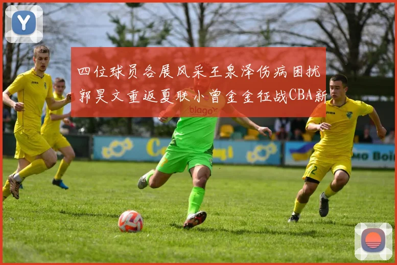 四位球员各展风采王泉泽伤病困扰郭昊文重返夏联小曾金金征战CBA新赛季